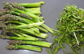 asperges
